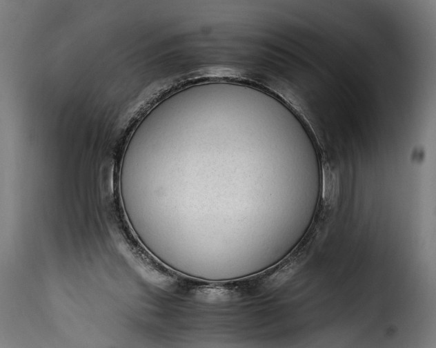 X0000115640253200911241718