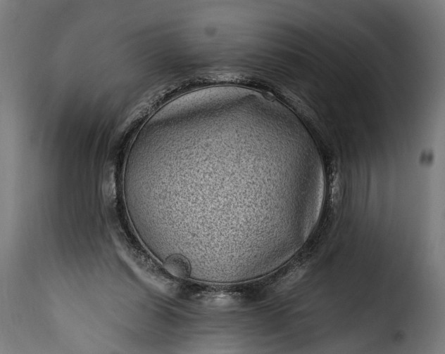 X0000115640254200911241718