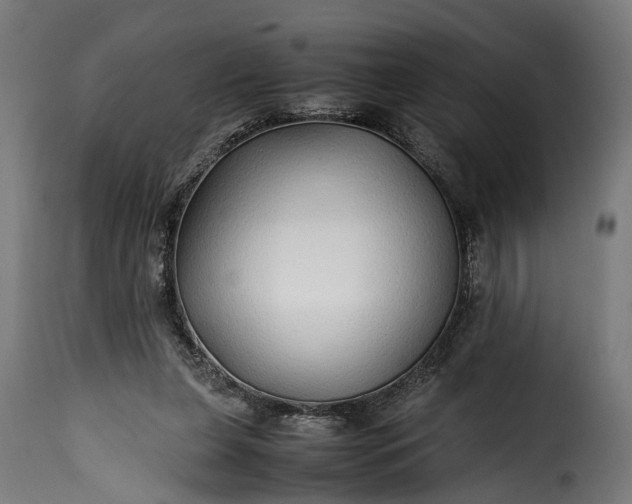 X0000115640255200911241718