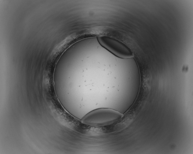 X0000115640256200911241718