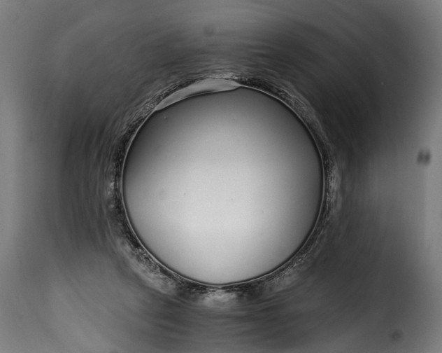 X0000115640257200911241718