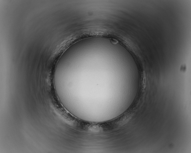 X0000115640258200911241718