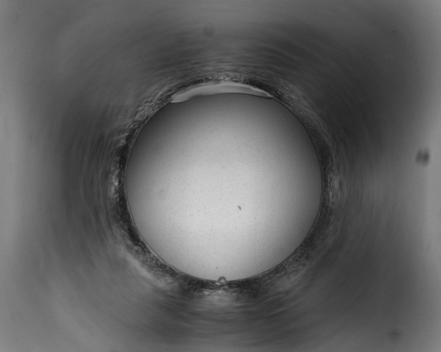 X0000115640259200911241718