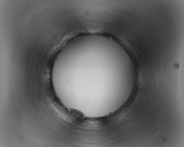 X0000115640260200911241718