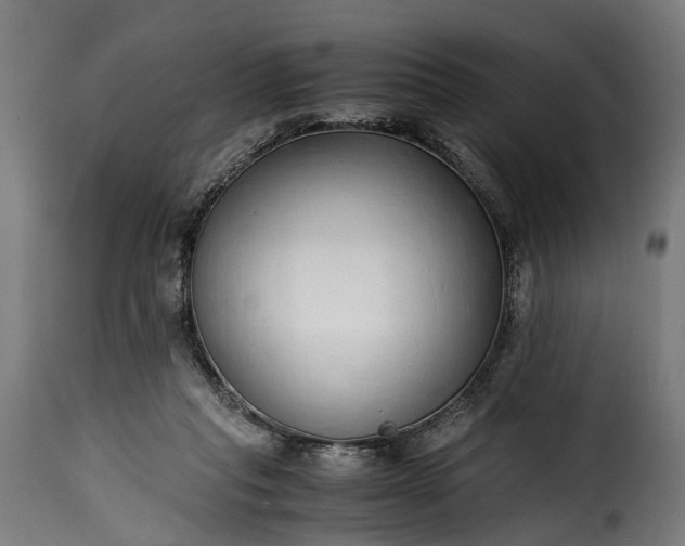 X0000115640261200911241718