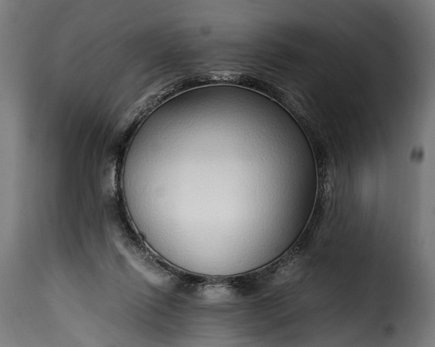 X0000115640262200911241718