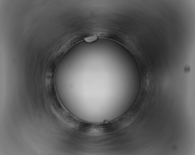 X0000115640263200911241718