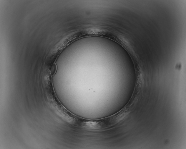 X0000115640265200911241718