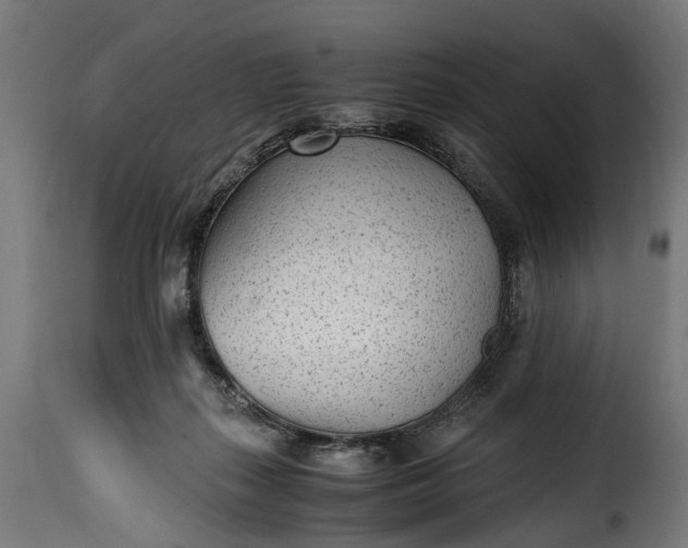 X0000115640267200911241718