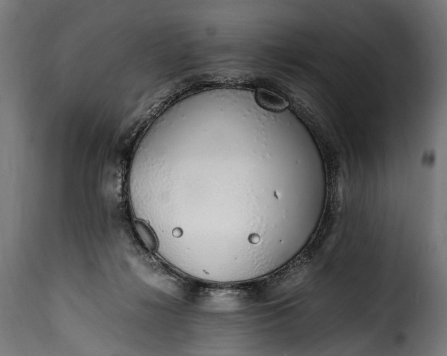 X0000115640268200911241718