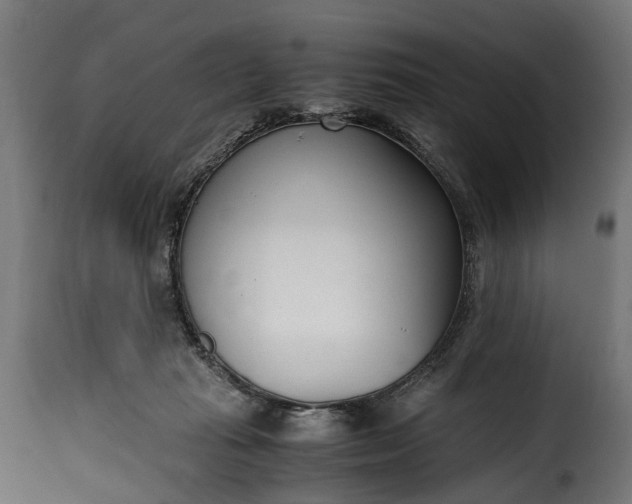 X0000115640269200911241718