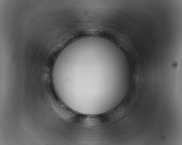 X0000115640270200911241718