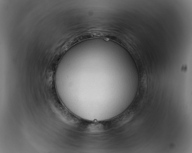 X0000115640271200911241718