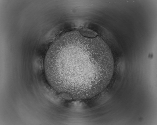 X0000115640272200911241718