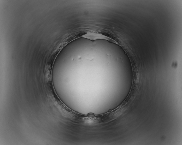 X0000115640273200911241718