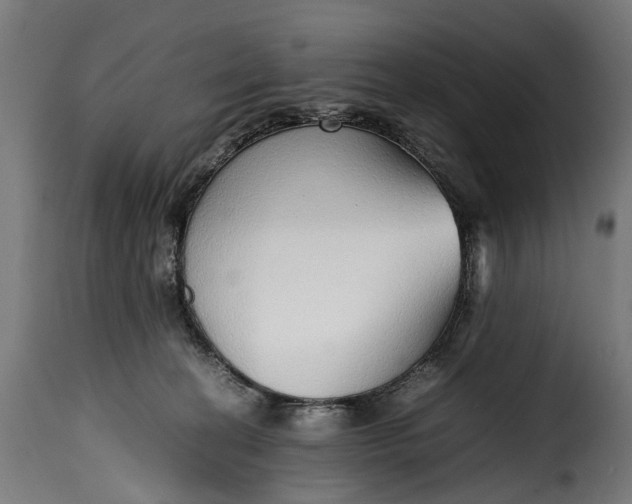 X0000115640274200911241718