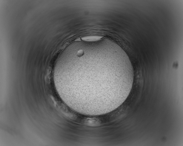 X0000115640275200911241718