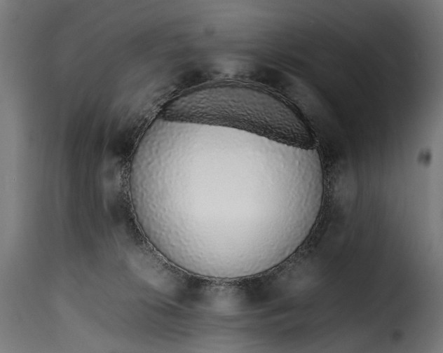 X0000115640276200911241718