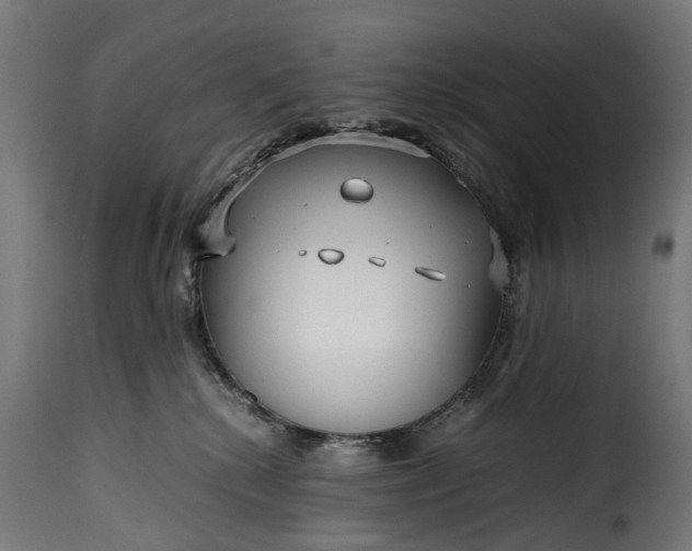 X0000115640280200911241718