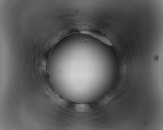 X0000115640281200911241718