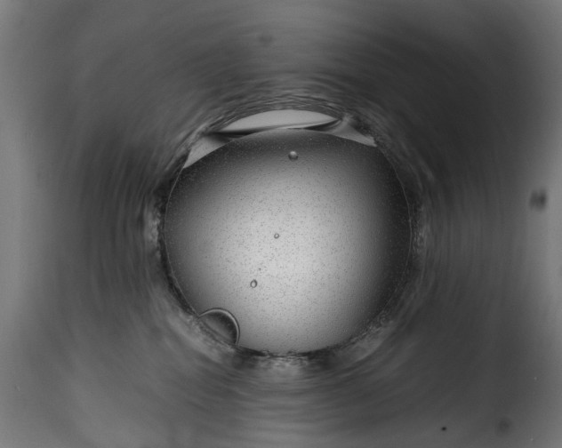 X0000115640282200911241718