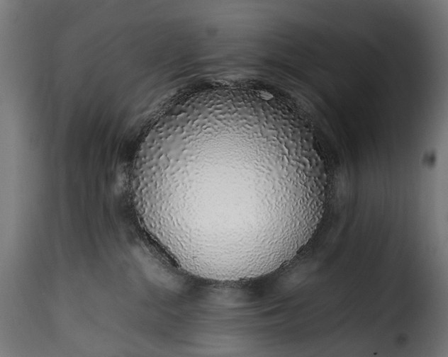 X0000115640284200911241718