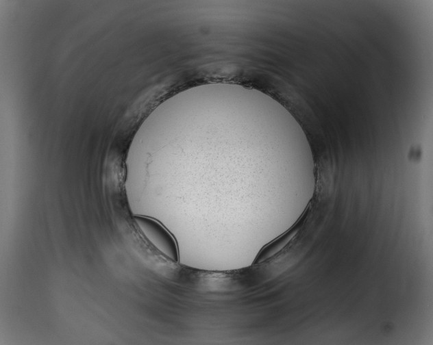 X0000115640287200911241718