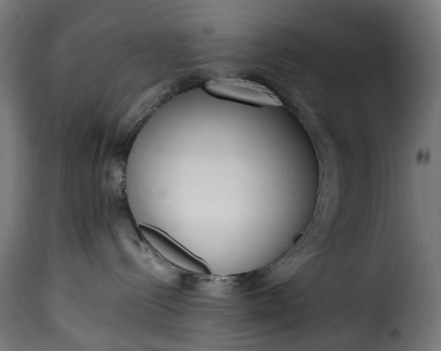 X0000115640288200911241718