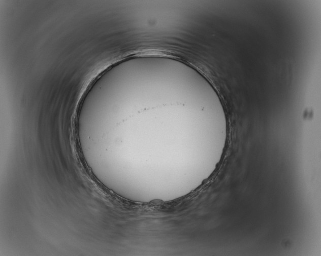 X0000115640289200911241717