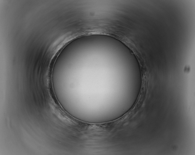 X0000115640290200911241717