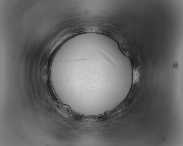 X0000115640291200911241717