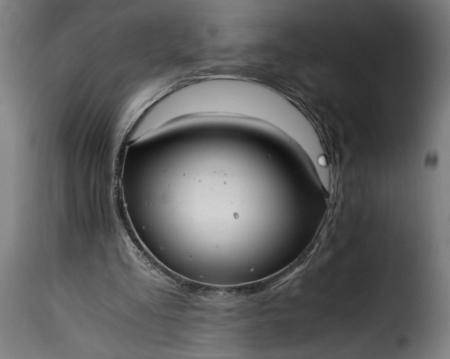 X0000115640293200911241717