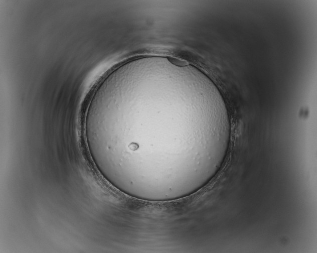 X0000115640294200911241717