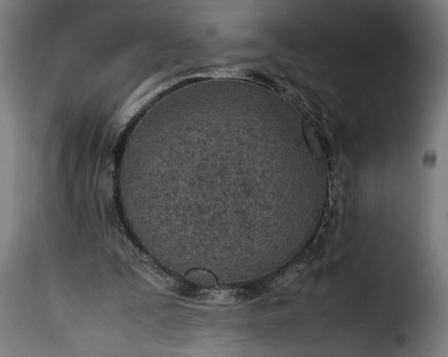 X0000115640295200911241717