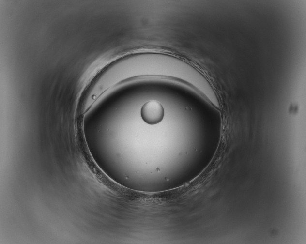 X0000115640296200911241717