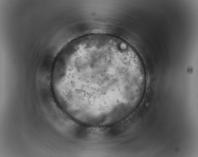 X0000115640297200911241717