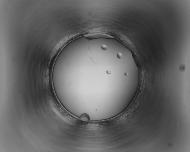 X0000115640298200911241717