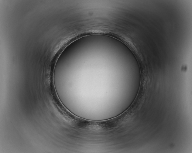 X0000115640299200911241717