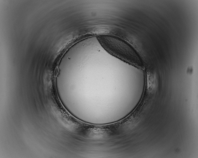 X0000115640300200911241717