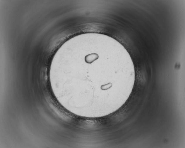 X0000115640302200911241717