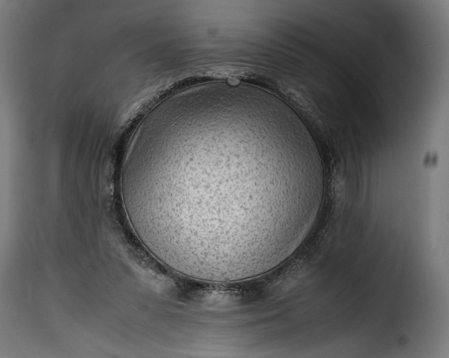 X0000115640303200911241717