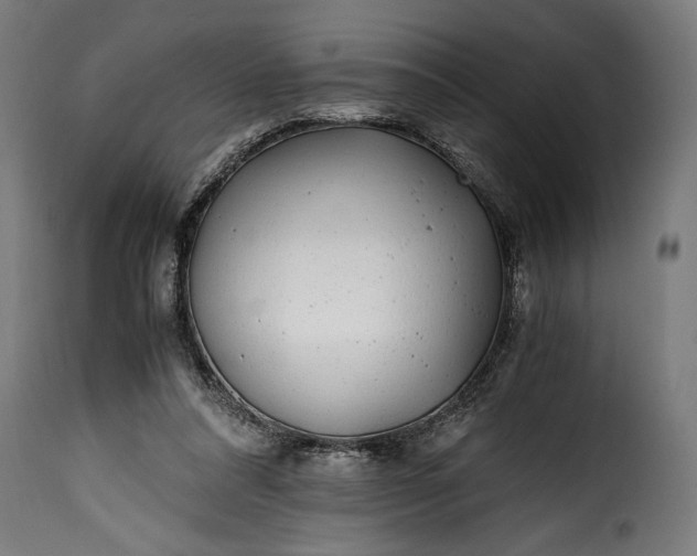 X0000115640304200911241717