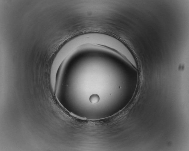 X0000115640305200911241717