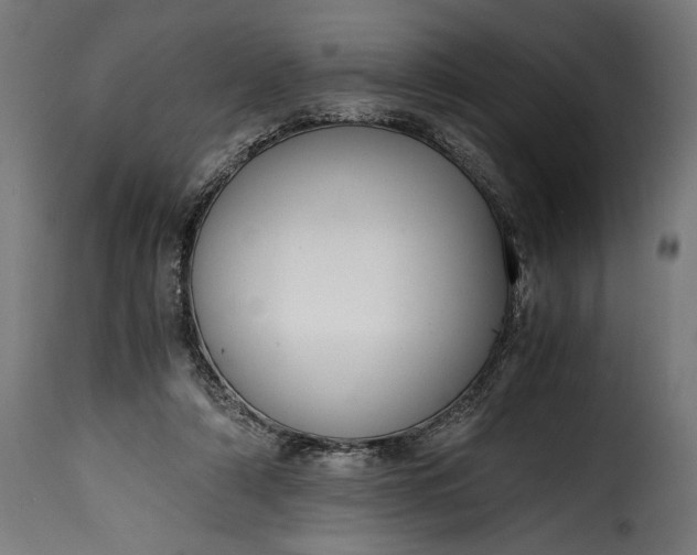 X0000115640306200911241717