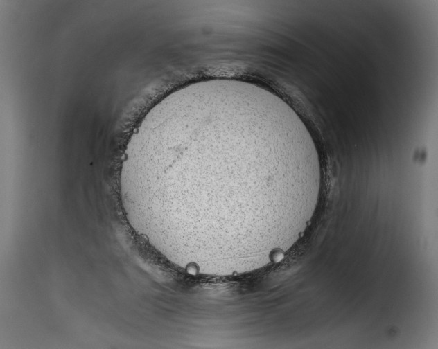 X0000115640307200911241717