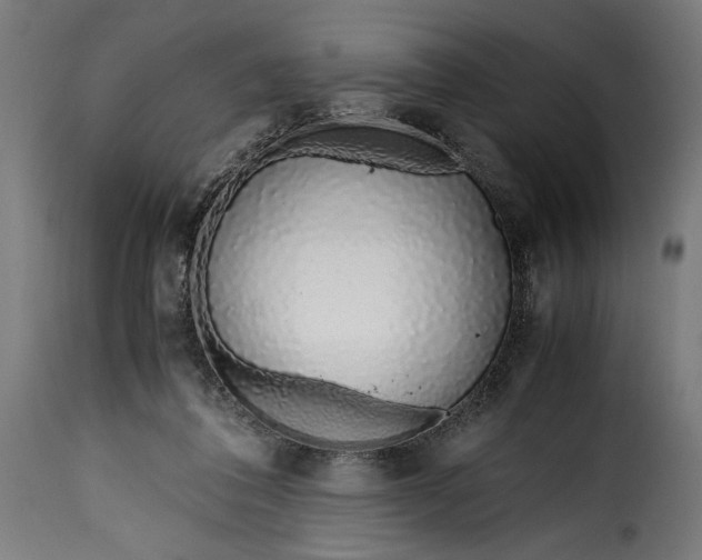 X0000115640308200911241717