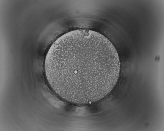 X0000115640309200911241717