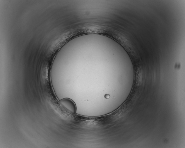 X0000115640310200911241717