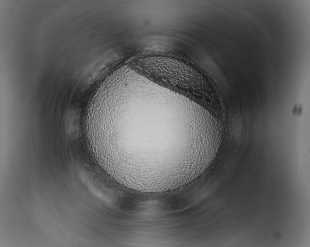 X0000115640312200911241717