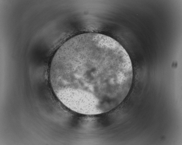 X0000115640313200911241717